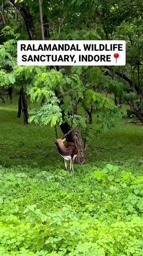 322K views · 3.7K reactions | When the monsoon wraps Ralamandal...