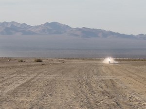 Rottweiler Performance on Reels
