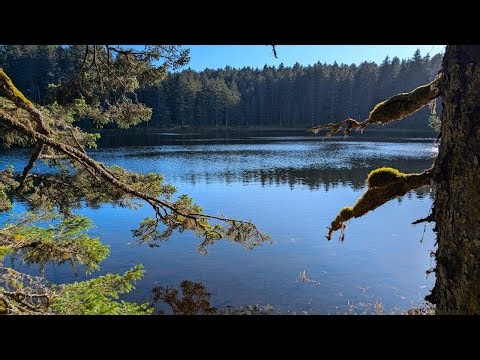 Going for a relaxing solo canoe paddle in Alaska