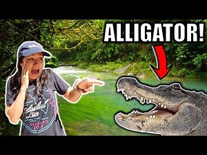 Remote Controlled ALLIGATOR PRANK on Mom!