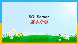 1、SQL Server 基本介绍