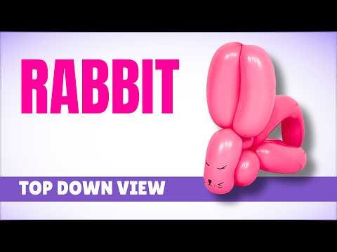 Rabbit: Simple-One Balloon Model POV