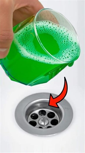 It cleans the Drain Better than a Machine. The stench disappears!