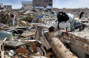 【3.11】東日本大震災まとめ｜震度や死者・津波動画・心霊現象・海外の反応など徹底解説