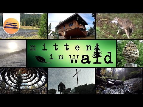 Bayerischer Wald | Urlaub in der Natur | Mitten im Wald