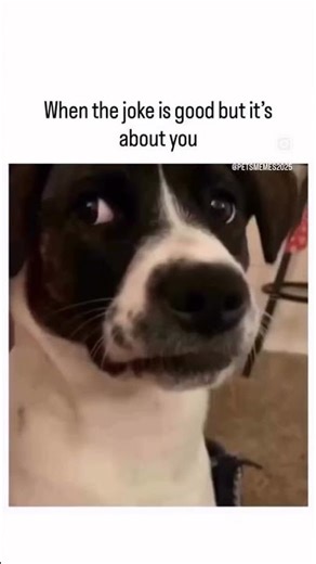 Cry now laugh later 😂😭#like #funny #subscribe