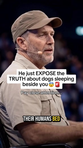 Understanding Changes in Your Dog's Behavior