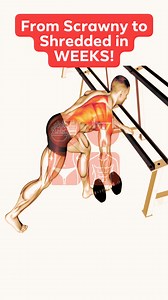 15K views · 137 reactions | From Scrawny to Shredded in WEEKS! Dumbbell One Arm Row: The Secret Weapon for Building a Wider, Thicker Back (Science-Backed!) #dumbbellworkout #onearmrow #backworkout #exercise #fitness #gym #homeworkout #shredded #musclebuilding #workoutmotivation #gymlife #fitfam #gains #beastmode #fitspiration #healthylifestyle #strong #workout #exercise #challenge #gymrat #fitnessgoals #muscle #homegym #healthy #latsworkout | Explore Health Blog | Facebook