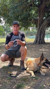 41K views · 936 reactions | Here’s my review of the Herm Sprenger chrome plated prong collar. A brand I’ve used for my entire dog training career. In fact, it’s the only brand I trust and recommend. You can use my code cabral10 and save 10% https://www.hermsprengerusa.com #doglover #dogtraining #dogtrainer #prongcollar #hermsprenger | Robert Cabral | Facebook