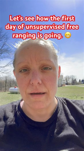 First Day Unsupervised Free Ranging for The Middles