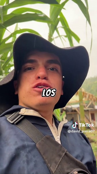 Remedios Naturales para la Diarrea en Cerdos