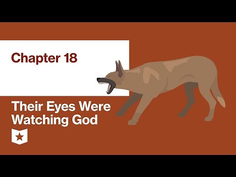 Their Eyes Were Watching God by Zora Neale Hurston | Chapter 18