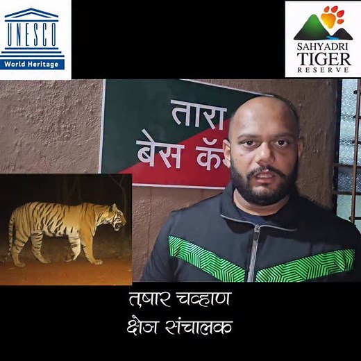 Operation TARA 🐯#sahyadritigerreserve #wildlifeindia #maharashtrawildlife #forestdepartment #conservationstories #IndianForests #WesternGhats #naturelovers #reelitfeelit #explorepage #satara#karad#kolhapur#treckking#boating#watersports#tiger | sahyadritr