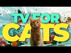 TV for Cats 🐦 Birds, Tropical Fish & Underwater Adventures | Calming Cat Music & Enrichment