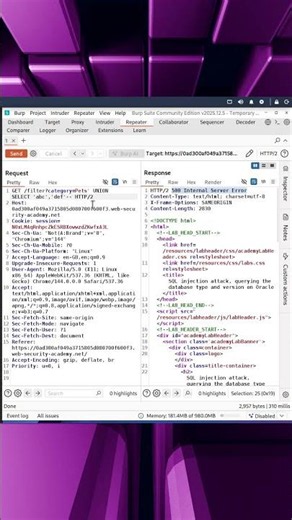 Oracle SQL Injection: Extracting the Database Version #ethicalhacking #cybersecurity #infosec #sqli