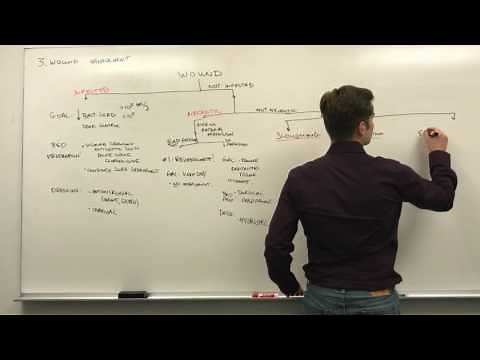 3. Wound Management and Choosing Dressings