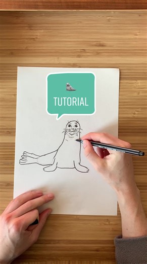 Robbe Zeichnen: Einfache Anleitung für Anfänger