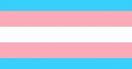 Bandera del orgullo trans: ¿cuál es el significado de sus colores?