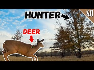 BOWHUNTING DEER at CLOSE RANGE!! (Arkansas Public Land)