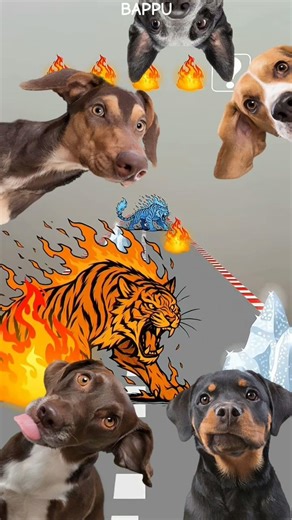 Fire Tiger VS Ice Tiger !! Who win?? 😱#animation #viral #gaming