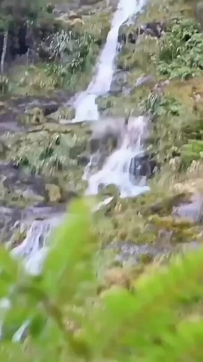 44K views · 152 reactions | Hunting Adventures on Reels | Facebook