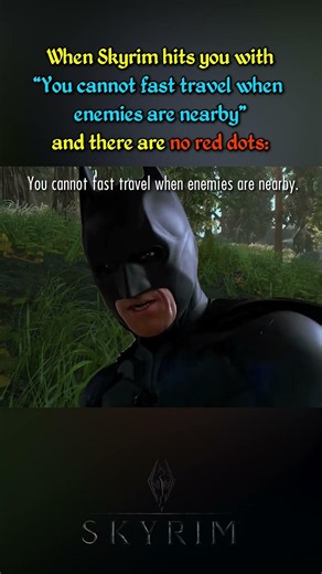 Skyrim - Relatable and Funny pt155
