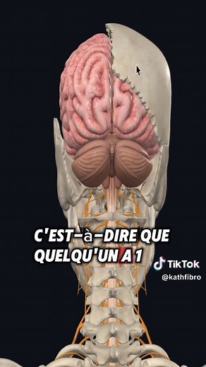 Algodystrophie: Comprendre la douleur articulaire et l'inflammation