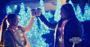 39 reactions · 7 comments | Cheers to a New Year...and 5 more days of Christmas Celebration! ❄️ | SeaWorld San Diego | Facebook