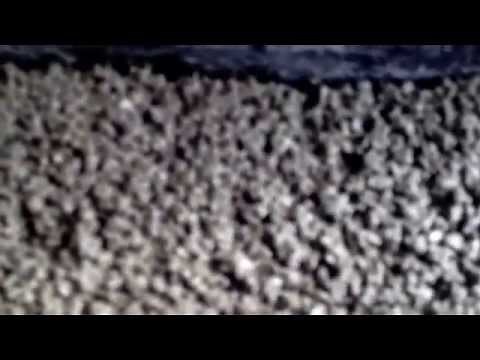 Perlite cement mix used on elite woodfired pizza oven build