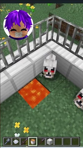 Killing Dogs speedrun in Minecraft!!