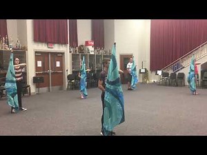 Moana - You're Welcome-RCHS Color Guard Routine