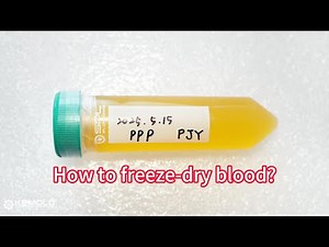 How to freeze dry blood? The secret of blood freeze drying with technology by the lab freeze dryer