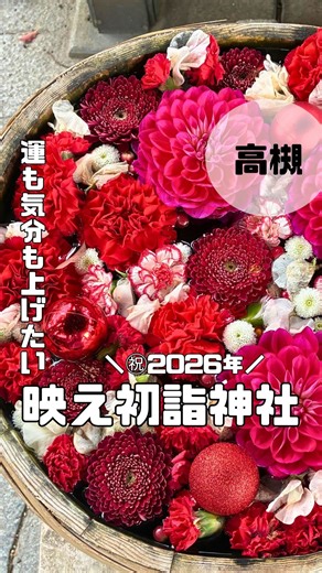 まだ知らない高槻 on Instagram: "@madashiranai_takatsuki ☜高槻情報更新中 ★★★高槻屈指の映え神社2選★★★ 高槻で行く初詣、可愛さや映えも求めるなら この2か所がオススメ！！ ●野見神社 〠大阪府高槻市野見町6-6 アクセス : 阪急高槻市駅から徒歩7分 【元日から営業してる近くのカフェ】 シティベーカリー 1/1、2、3 8:00〜17:00 Cafe N+ 1/1 9:00〜18:00 1/2、3 9:30〜17:00 ●阿久刀神社（あくとじんじゃ） 〠大阪府高槻市清福寺町23-2 アクセス : JR高槻駅西口から徒歩19分 ****************************** ＼あなたの知らない高槻がまだある／ 高槻のお出かけ、イベント、グルメ、子連れスポット、 新店情報やタイムリーなお得情報などを発信しています 高槻を楽しみ尽くしたい人はフォロー！ ☞@madashiranai_takatsuki"