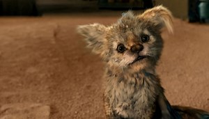 That darn chupacabra: Latin America’s mythical creature gets adorable makeover in ‘Chupa’