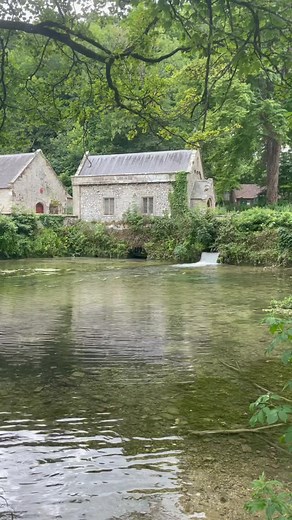 Exploring Green Aesthetic and Cottagecore Inspired Nature