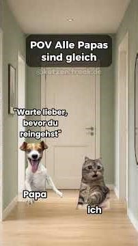 Folgt für mehr 😂#katze #katzen #katzenvideos