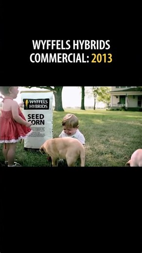 Wyffels Hybrids - Commercial 2013