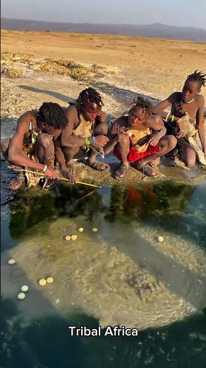 🌋 Bushmans Boil Eggs in a Volcano! Unbelievable Tribal Cooking Method😱🔥#BushmanTribe #VolcanoCooking