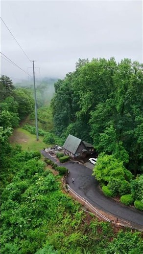 Foggy Mountain View.
