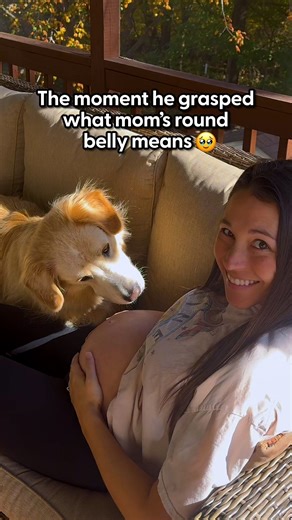 The Dodo on Instagram: "He stayed glued to his mom during her whole pregnancy — and when the baby finally came, he knew just what to do 🥹 Jamie told us how everyone said once you have a baby, you forget about your dog, and how that couldn't be farther from the truth for them! Keep up with Jamie and @adogcalledcarl"