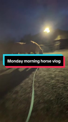 Monday Morning Horse Vlog: A Day in the Life of Equestrian Training