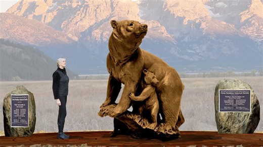 New Sculpture Of 399 And 4 Cubs Planned To Memorialize World’s Most Famous Bear