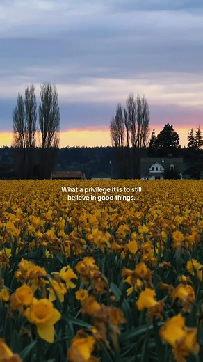 Nature's Blessing: Peace, Love, and PNW Travel
