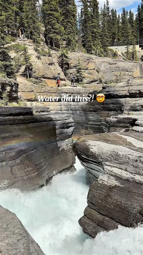 Water is the artist here 🎨 #canyon #banff #banffnationalpark #nature