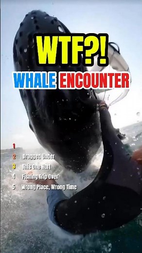 5 Terrifying Whale Encounters Caught on Camera 🐋 #whale #ocean #sea