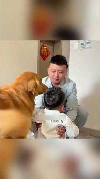 Whatever injustice the dog suffered 🐶💔, it all became clear in the end ✨🙏.