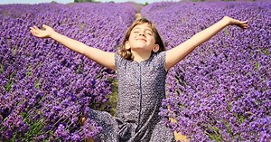 This stunning 25-acre lavender farm in Surrey is a must-visit