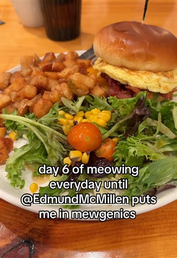 day 6 of meowing everyday until @Edmund McMillen puts me in mewgenics lol breakfast #voiceacting #mewgenics