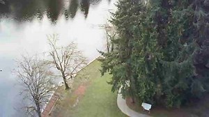 Watch Fun drone on Amazon Live