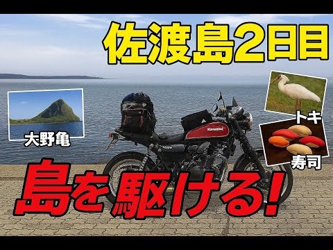 【Z900RS】佐渡島を駆ける！絶景・朱鷺・寿司の旅